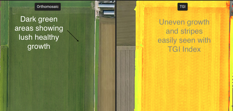 Annotated orthomosaic and TGI map highlighting lush dark-green growth versus uneven stripes