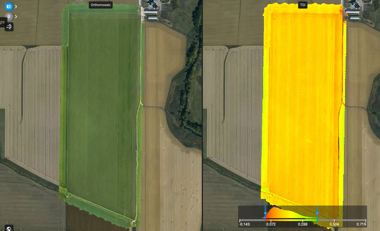 Side-by-side RGB orthomosaic and TGI triangular greenness index map